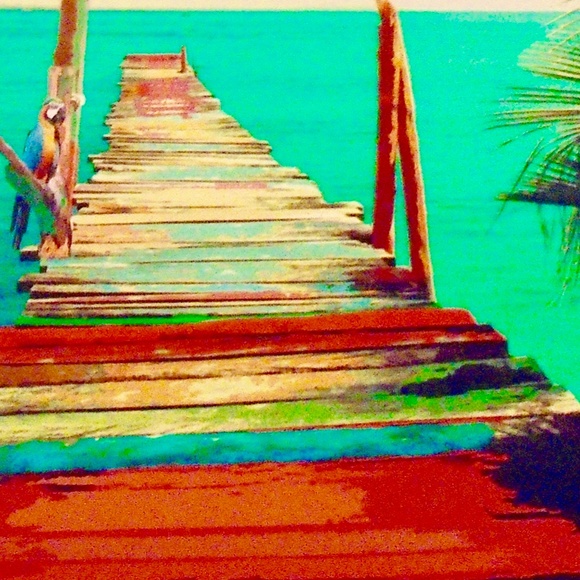 Meet your Posher, Merrie - Picture 3 of 7